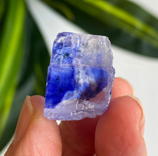 Blue Halite