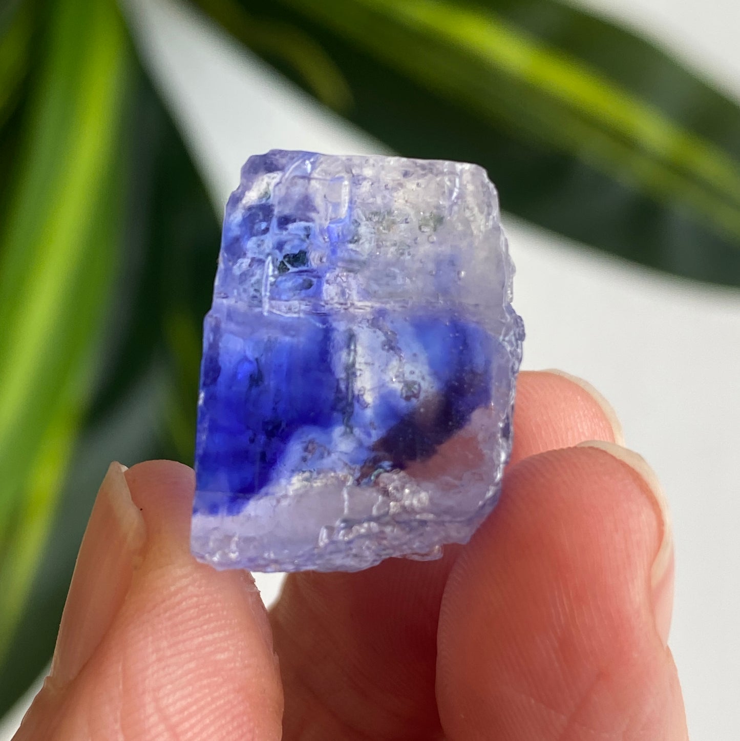 Blue Halite