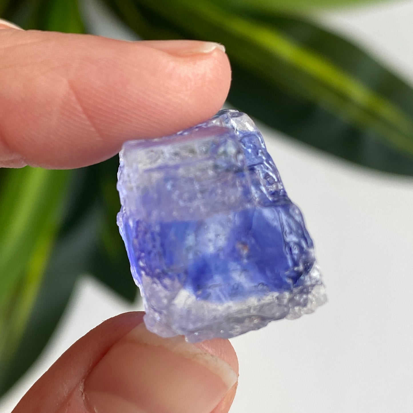 Blue Halite