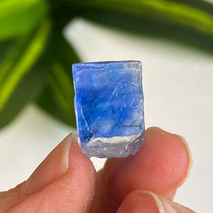 Blue Halite