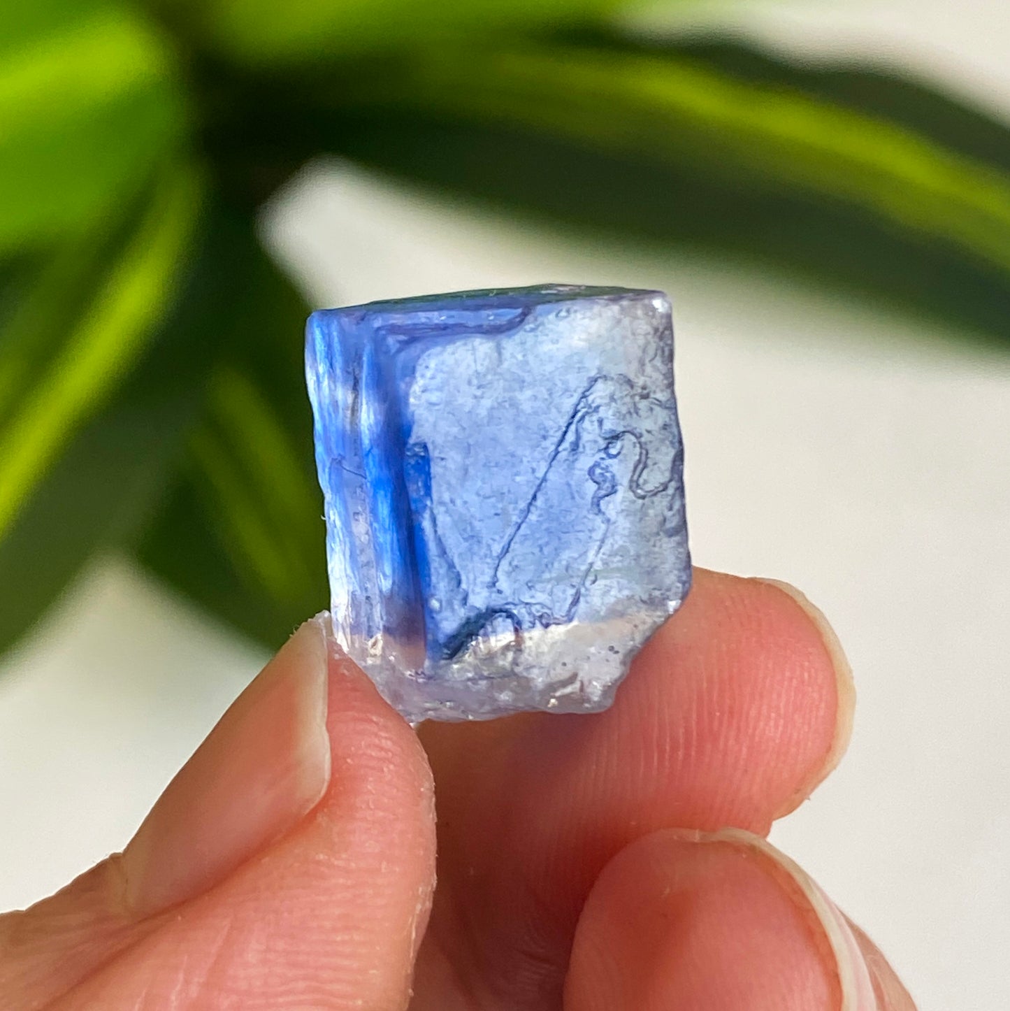 Blue Halite