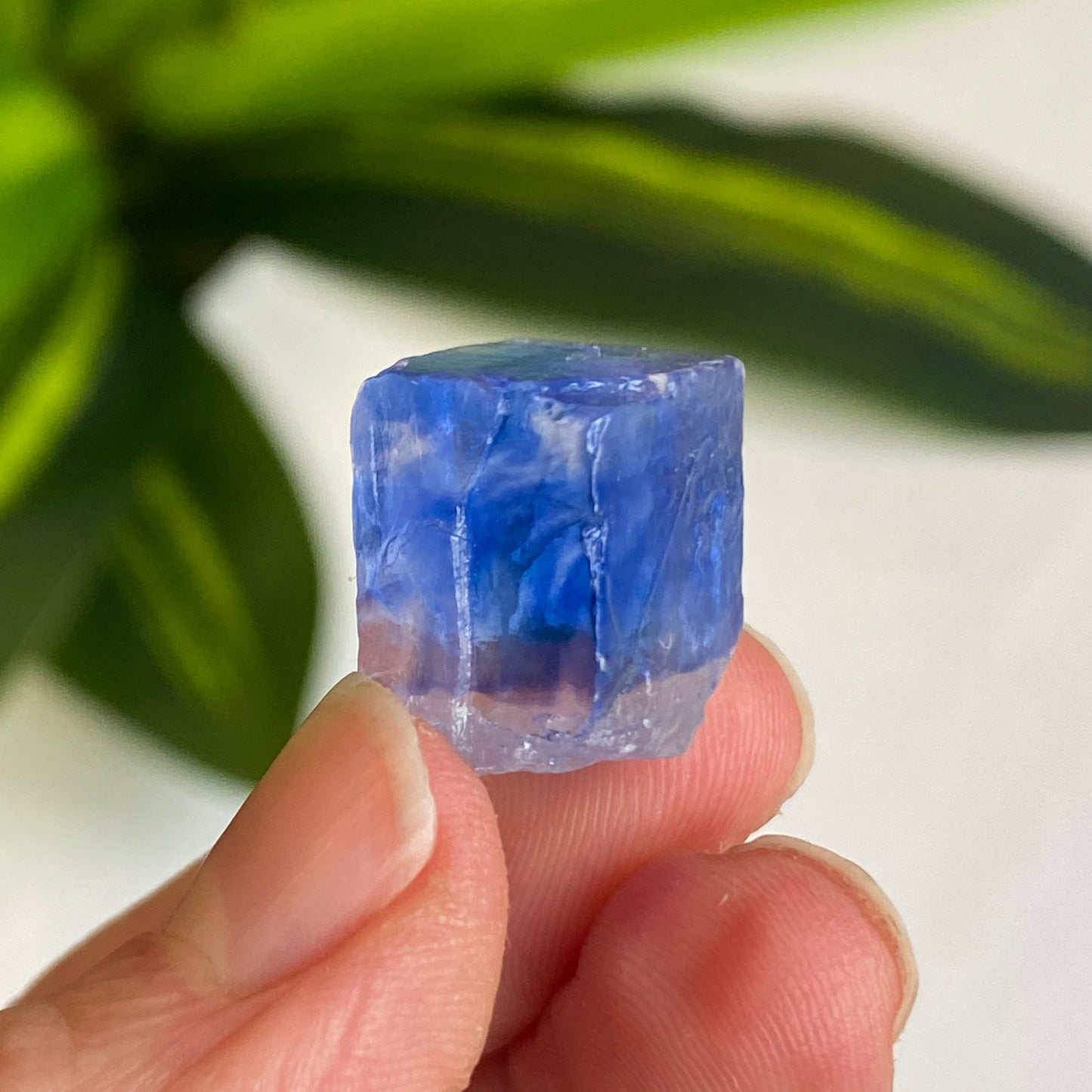 Blue Halite