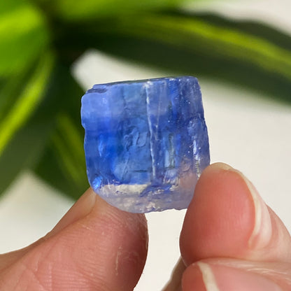 Blue Halite