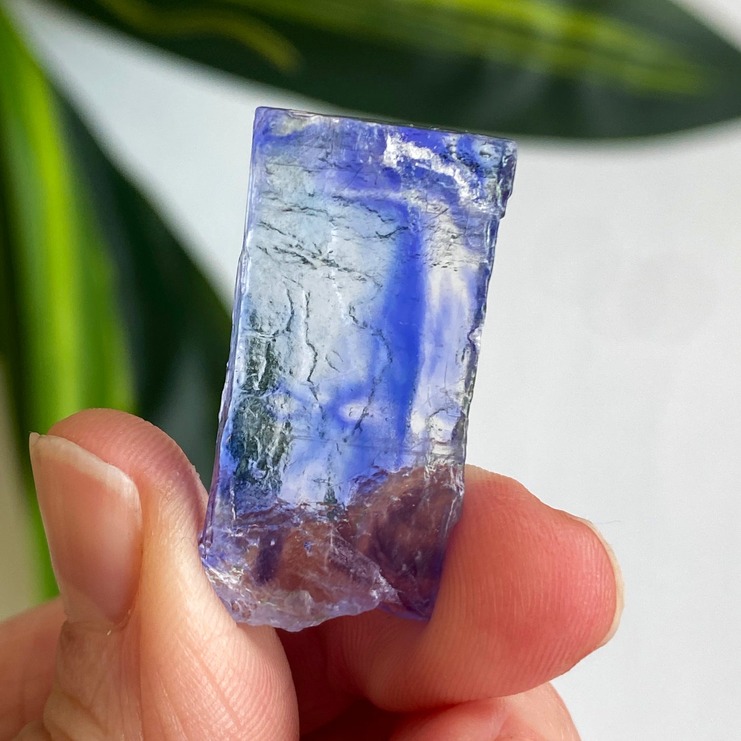Blue Halite