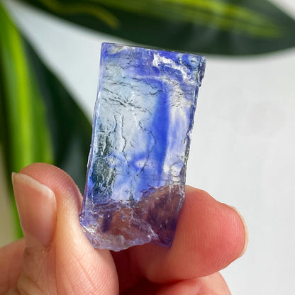 Blue Halite