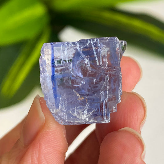 Blue Halite