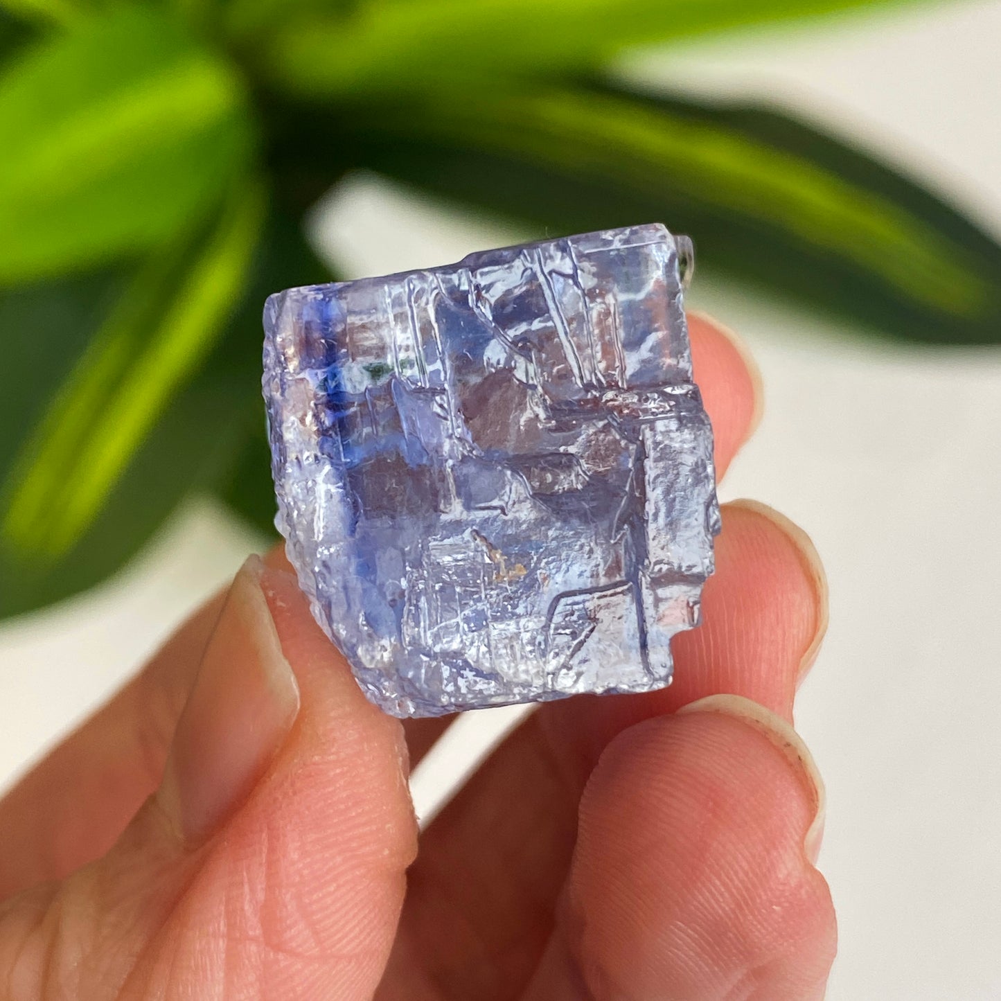 Blue Halite