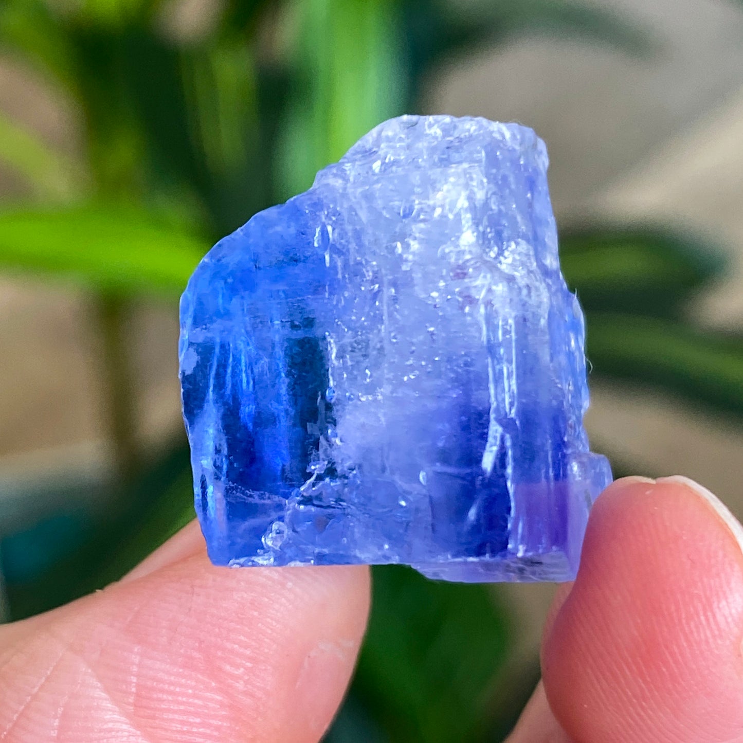 Blue Halite