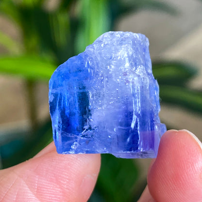 Blue Halite