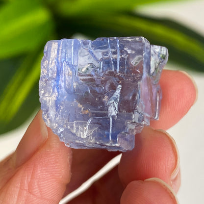 Blue Halite