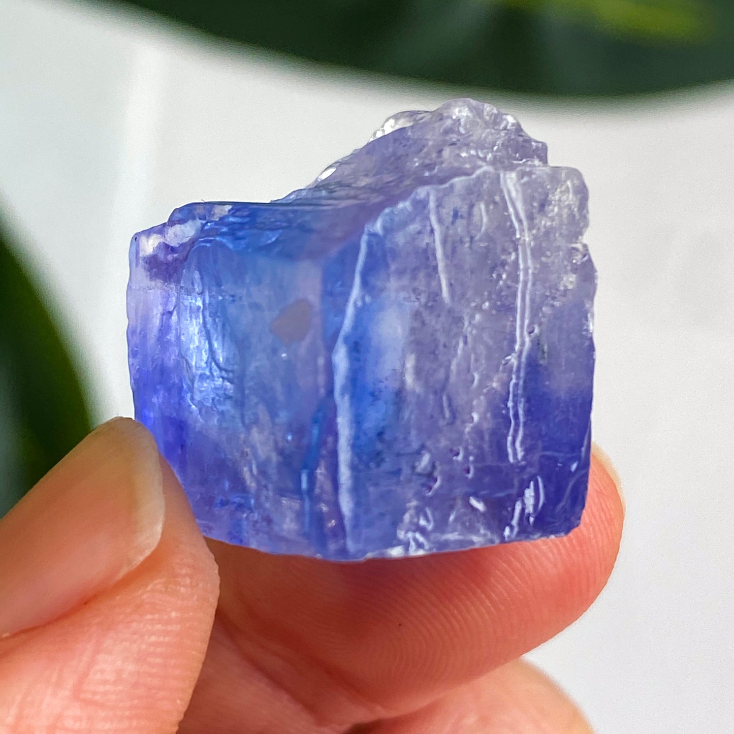 Blue Halite