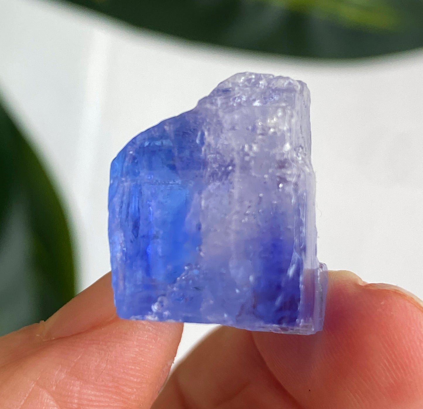 Blue Halite