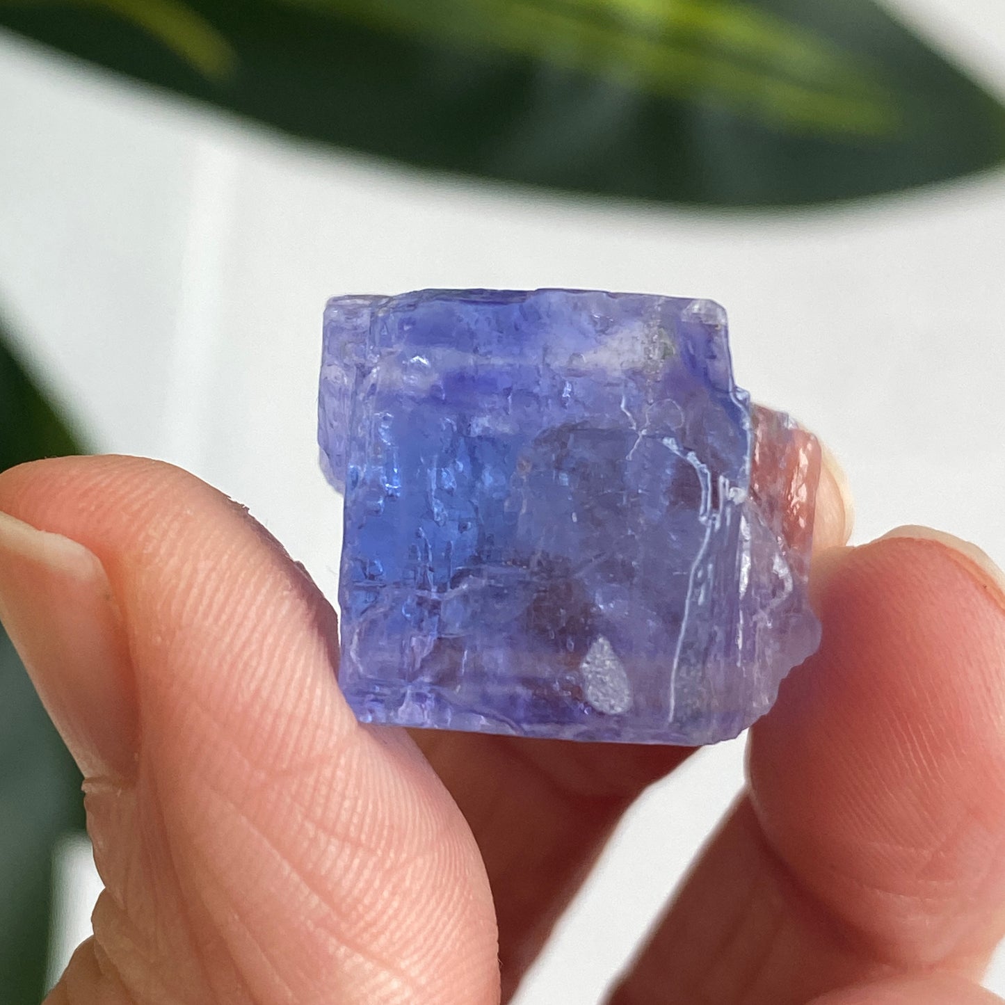 Blue Halite