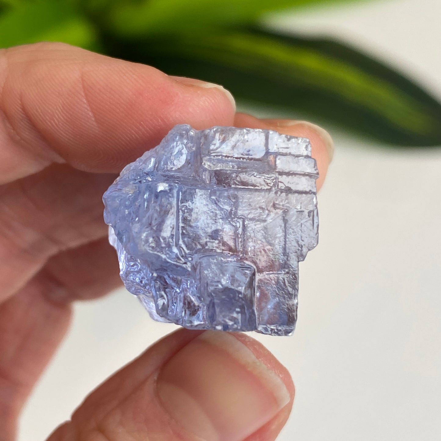 Blue Halite