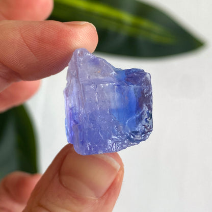 Blue Halite