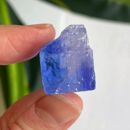 Blue Halite