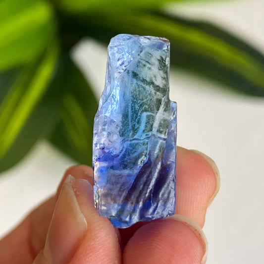 Blue Halite