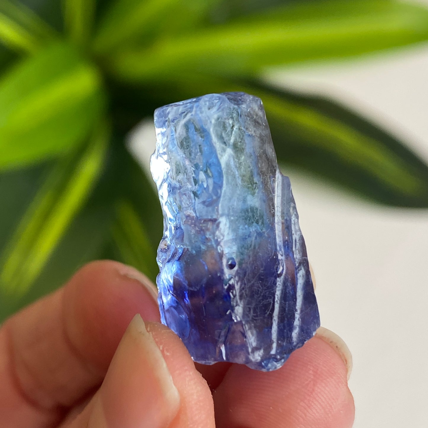 Blue Halite