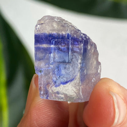 Blue Halite