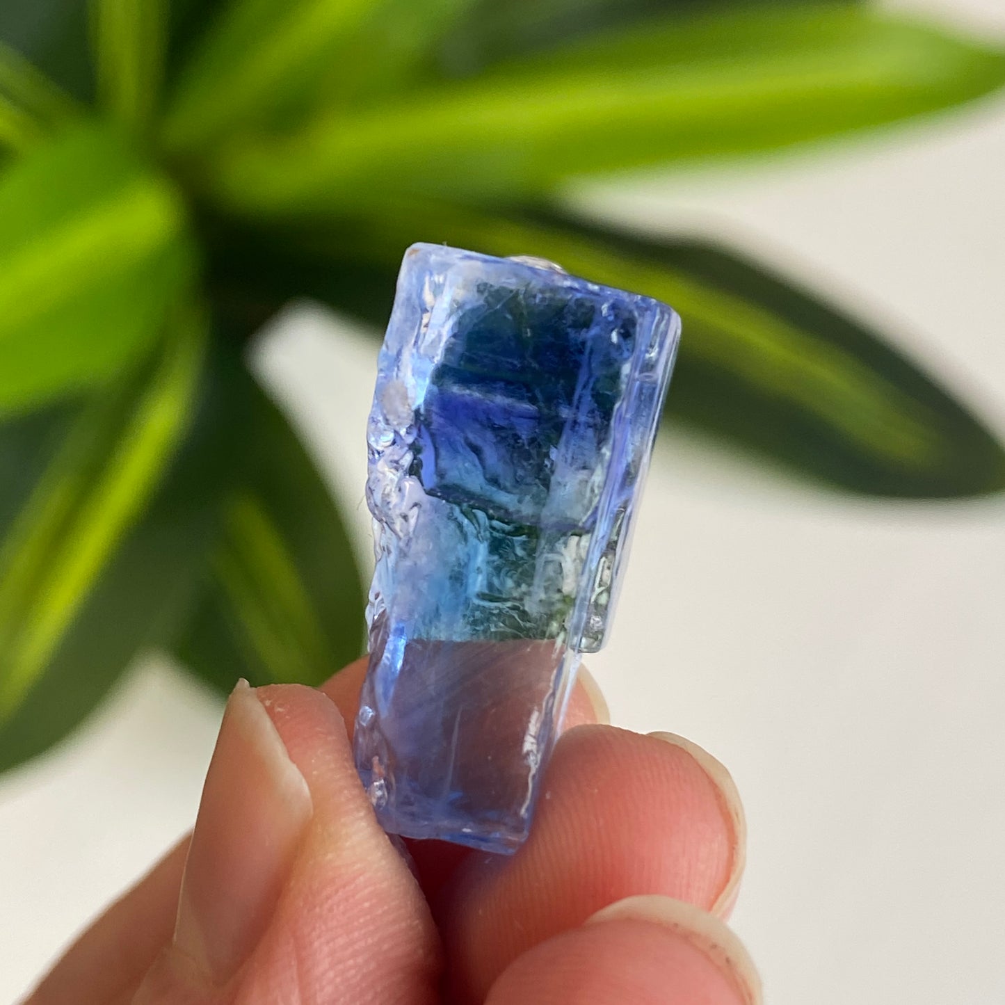 Blue Halite