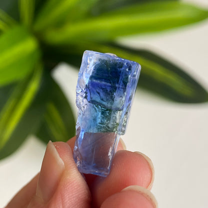 Blue Halite
