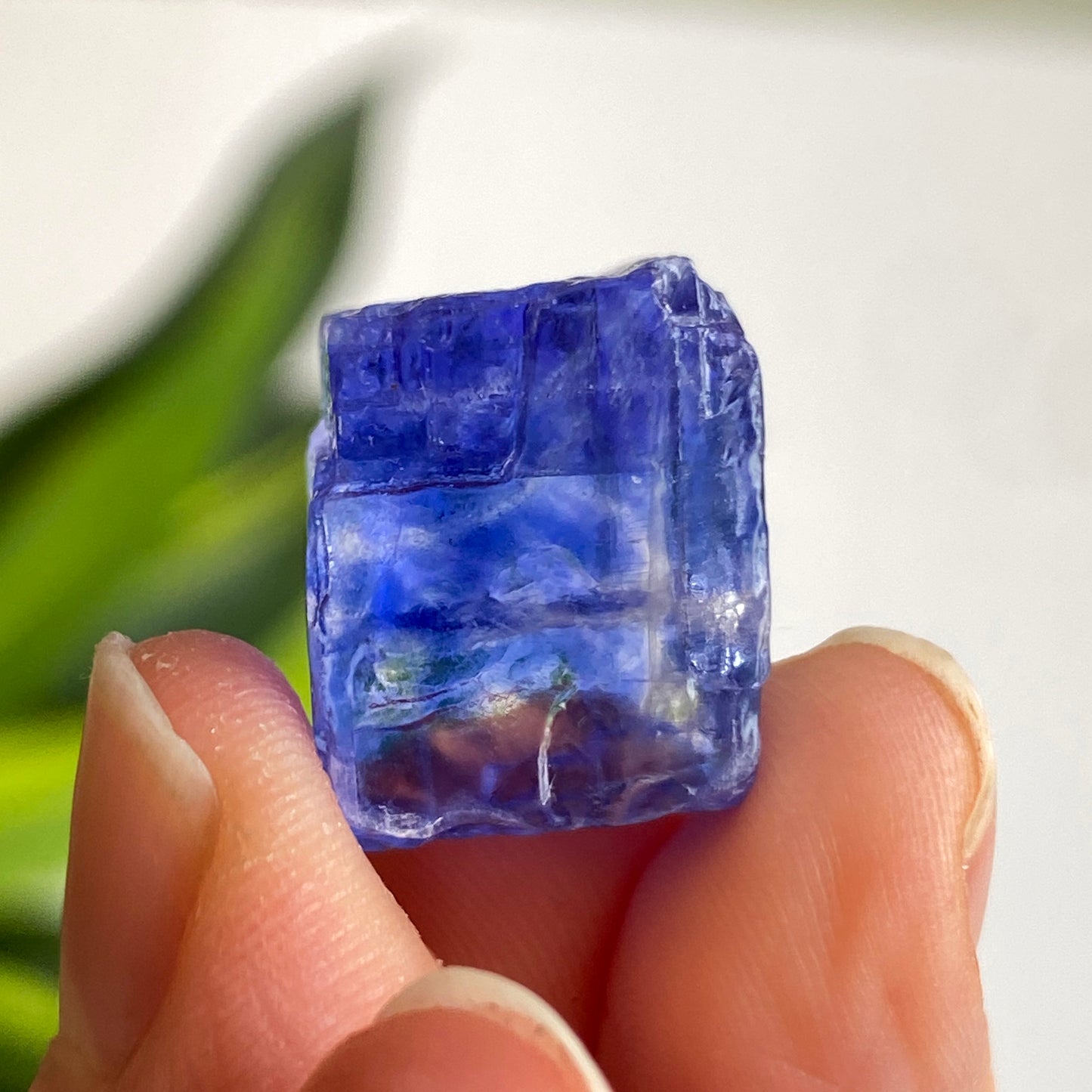 Blue Halite