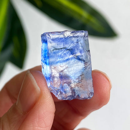 Blue Halite