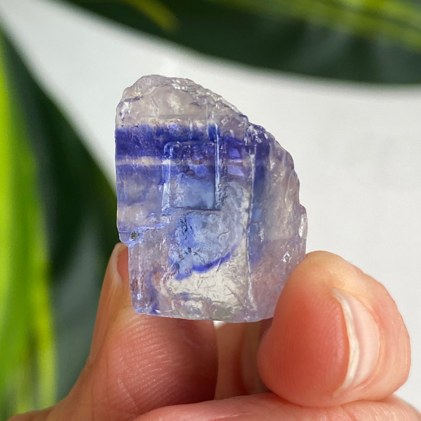 Blue Halite