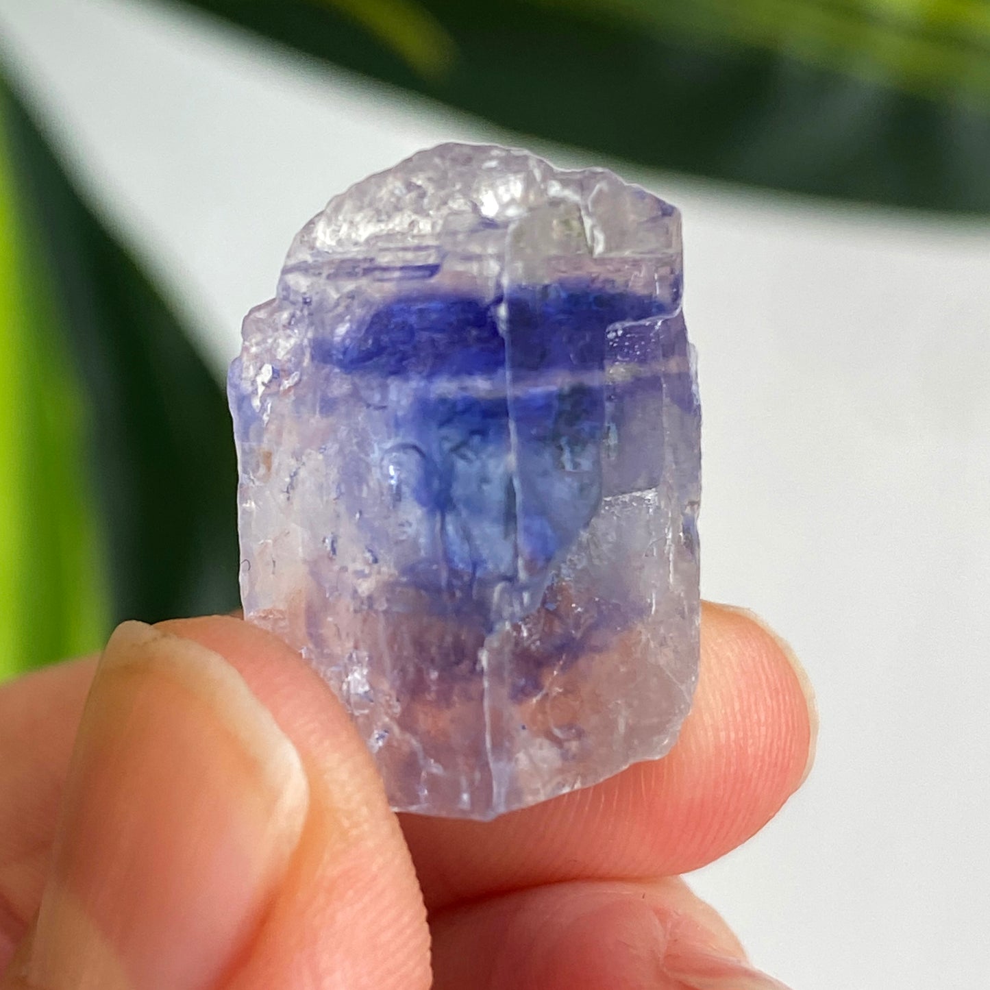 Blue Halite