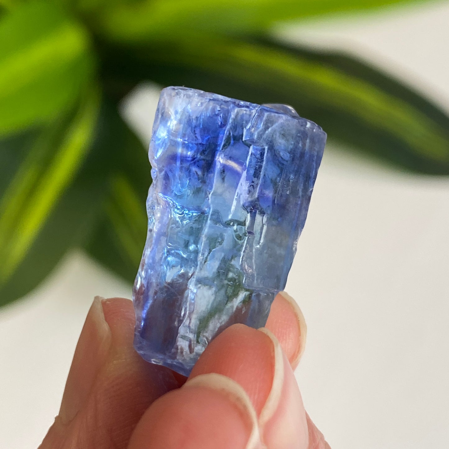 Blue Halite