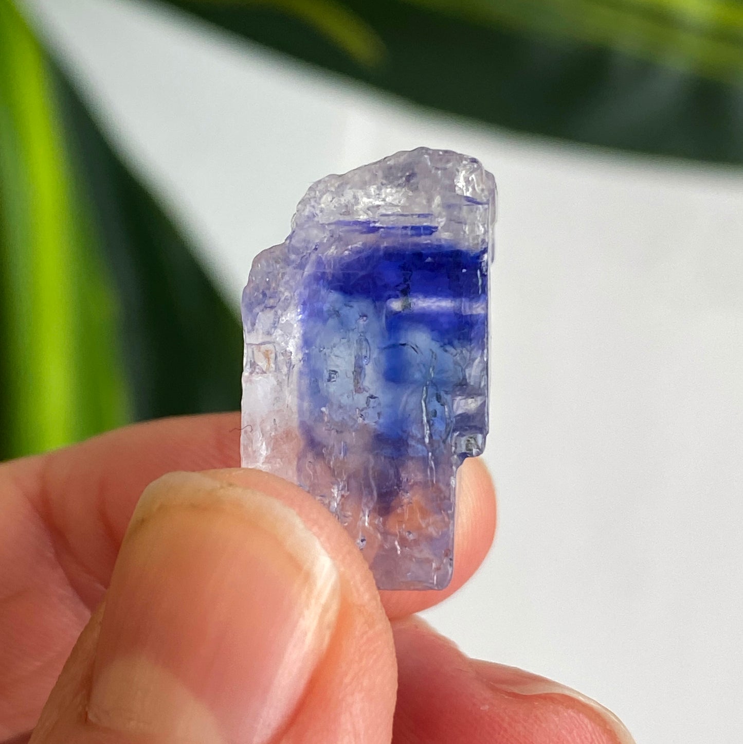 Blue Halite