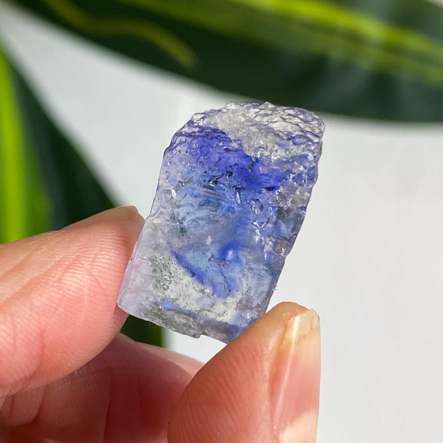 Blue Halite