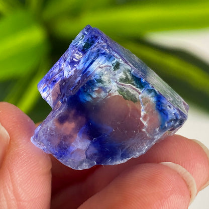 Blue Halite