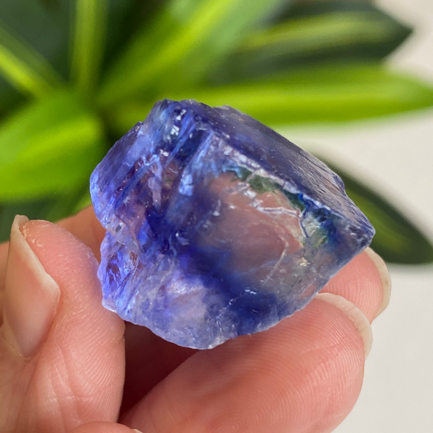 Blue Halite