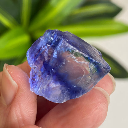 Blue Halite