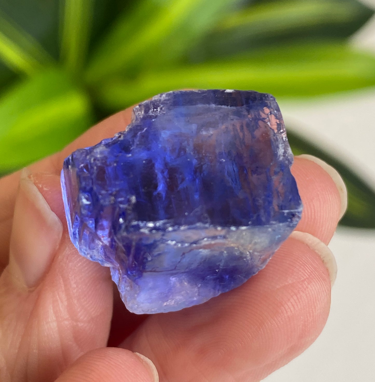 Blue Halite