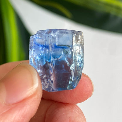 Blue Halite