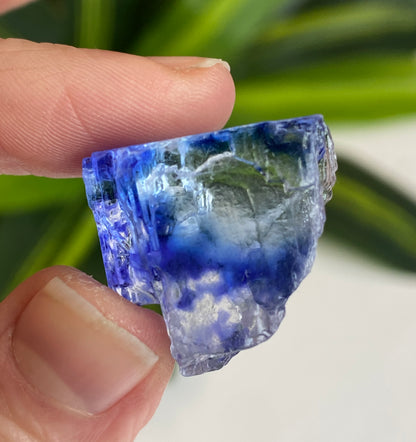Blue Halite