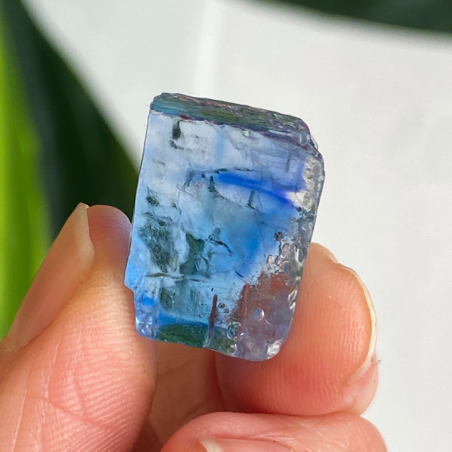 Blue Halite