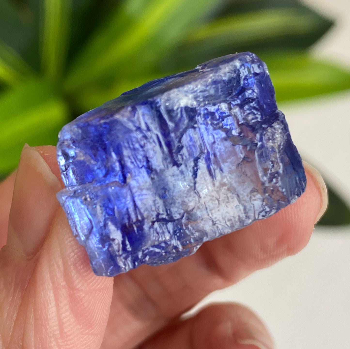 Blue Halite