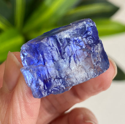 Blue Halite