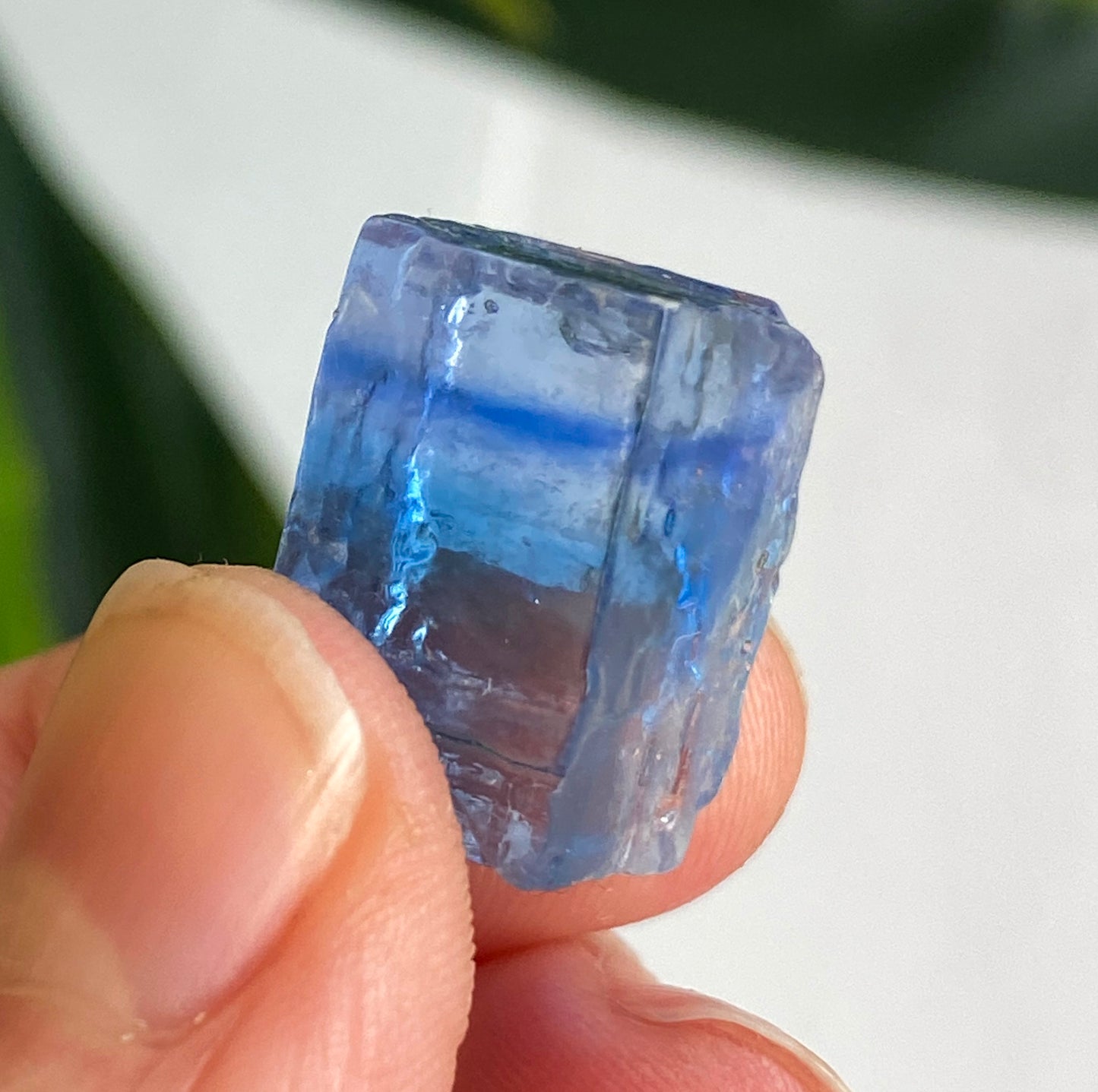 Blue Halite