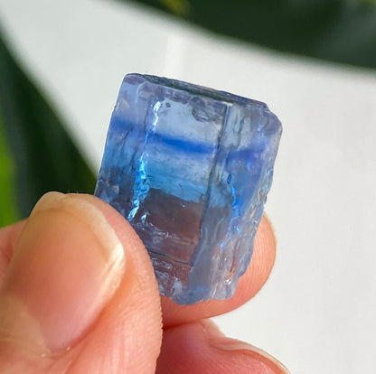 Blue Halite