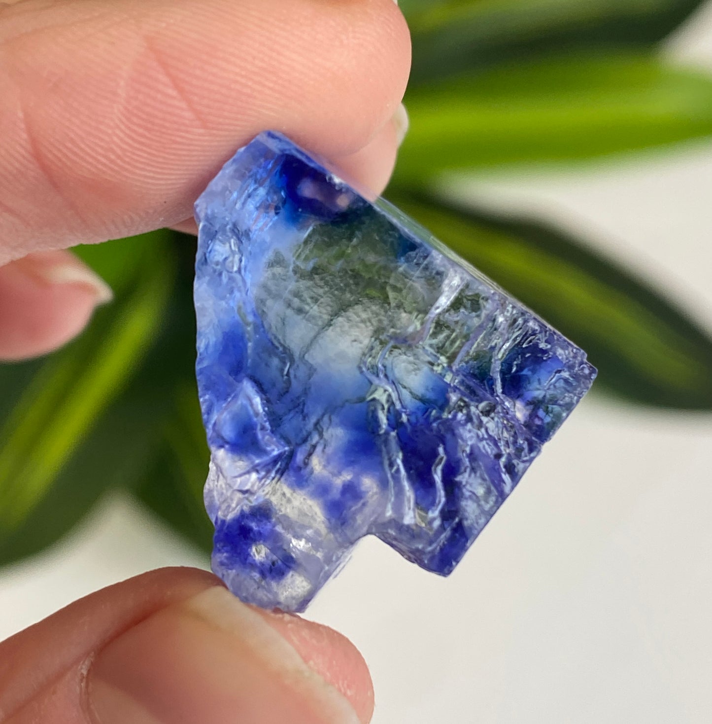 Blue Halite
