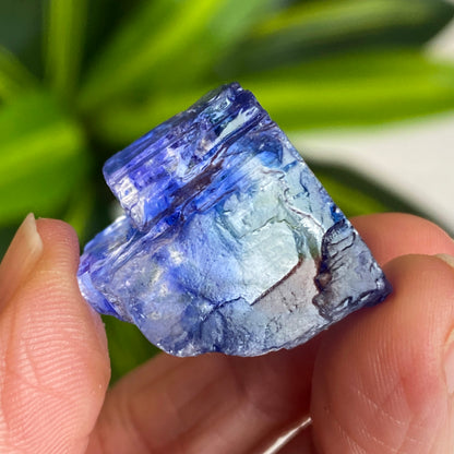 Blue Halite