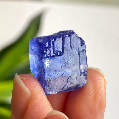 Blue Halite