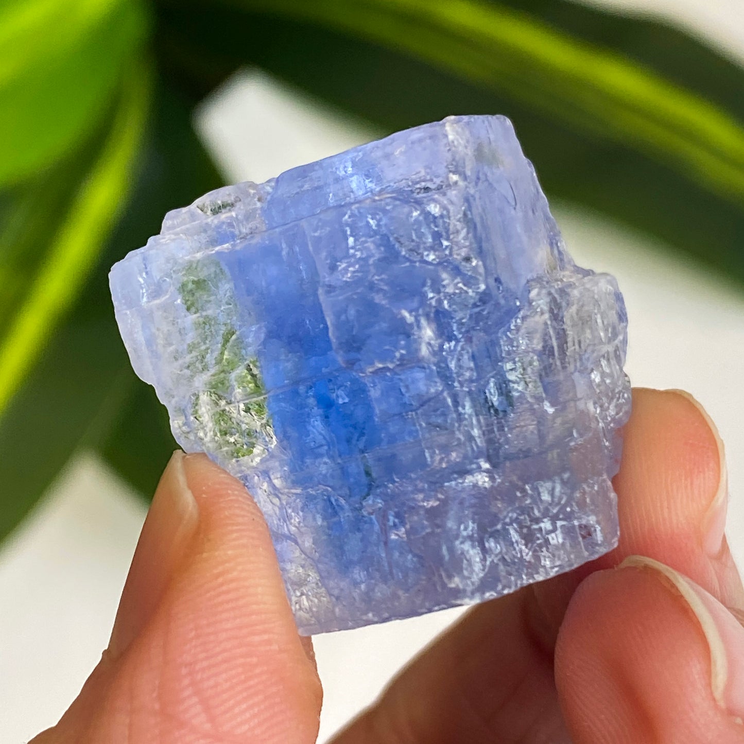 Blue Halite