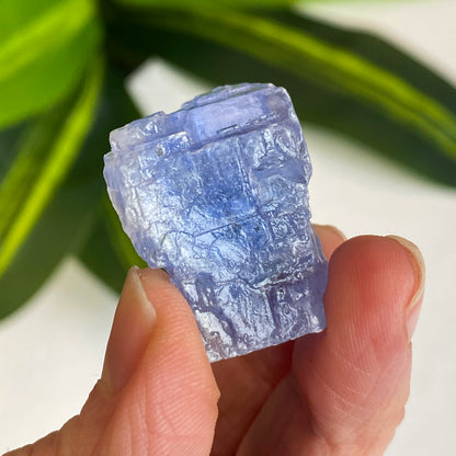 Blue Halite