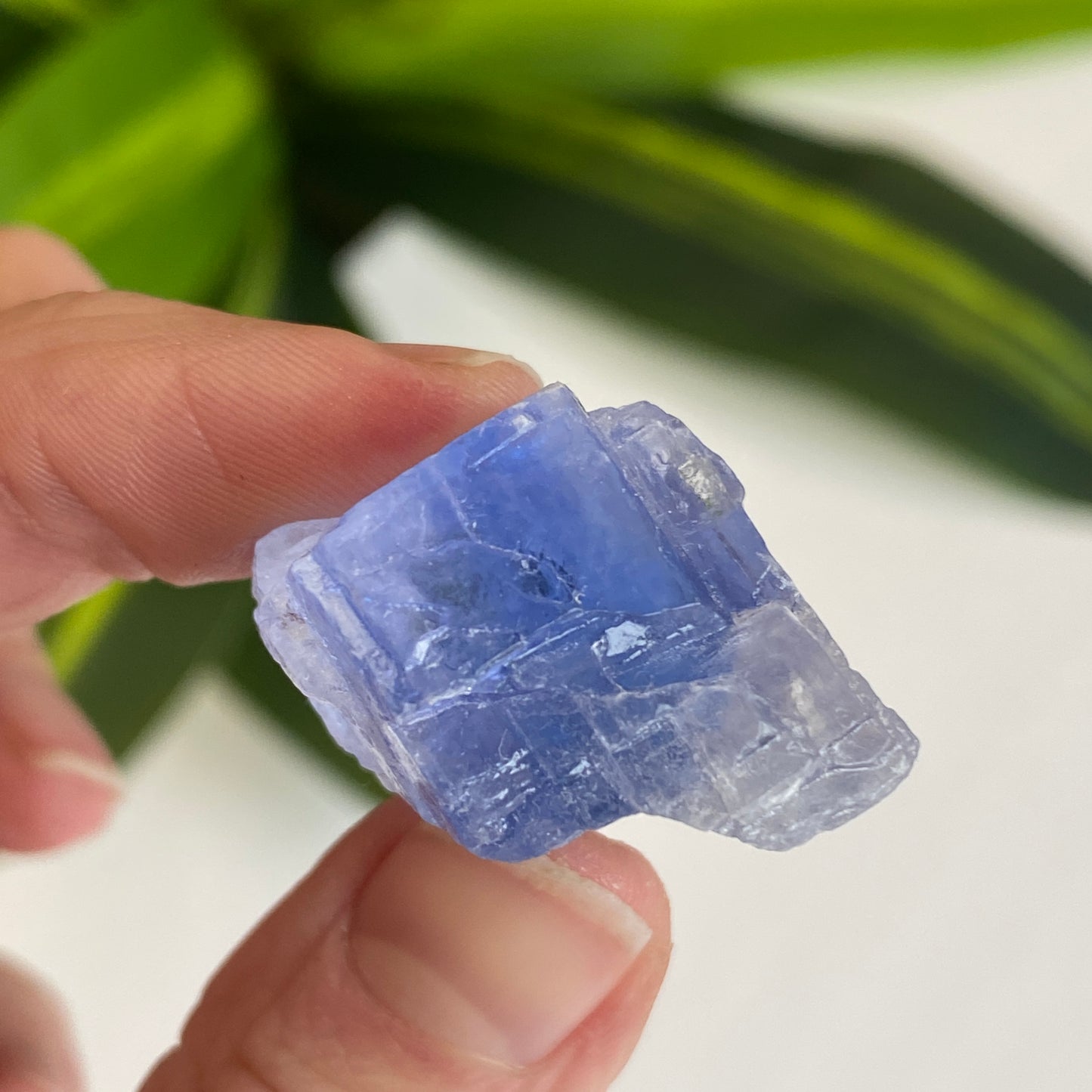 Blue Halite