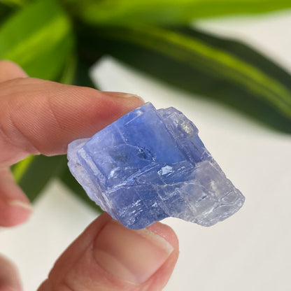 Blue Halite